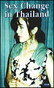 English novelette cover